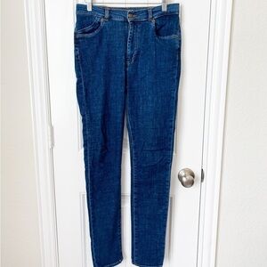 Won Hundred Skinny Jeans Size 27